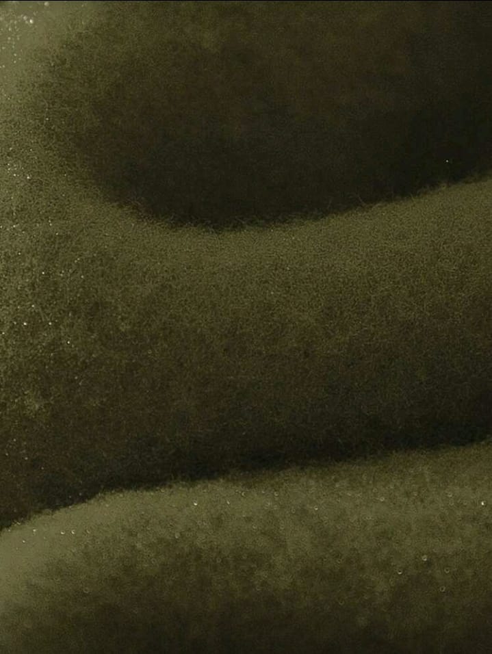 Women's Cozy Goose Sweatshirt